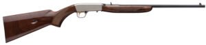 BRN 021023102 22 AUTO GRD II 22LR 19 10R WAL