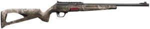 WGUN 521110102 WLDCAT STRTA      22LR 18      TTMB