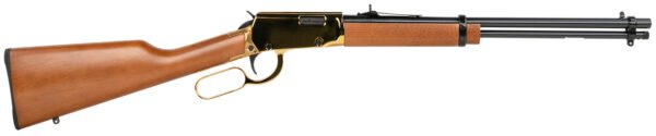 ROSSI RL22181WDGLD1  RIO BRAVO    22LR 18 15R  GLD