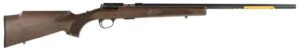 BRN 025176270 TBLT TAR/VAR SAT 17HMR 22 10R WAL