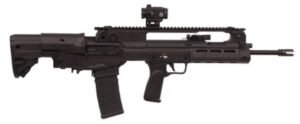 Hellion 5.56 NATO 18" Blk 2/30rd GEARUP