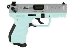 PD380 .380 ACP Angel 9R