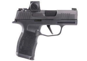 P365X 9mm 3.1" ROMEOX Compact Blk 2/10rd