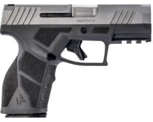GX2 9MM 3.38" Grey/SS (2) 10-rd