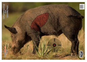 Birchwood Casey 35408 Pregame  Boar Paper Target 16.50" x 24" 3 Per Pkg