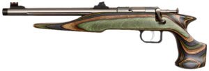 Chipmunk 41105 Hunter Adult 22 Mag 1rd 9" Threaded Stainless Steel Single Shot Barrel, Camo Laminate Stock