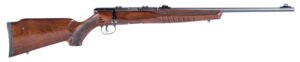 B22G 22LR 21" Hardwood Accu-T 10rd
