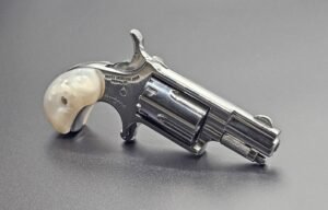 NAA THE GOOD HIGH POLISHED 22LR 5 SHOT  1 1/8 IN BARREL