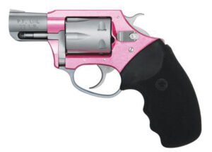 Char Pthfndr PnkLdy 22LR 2" Pk/SS FS 8rd