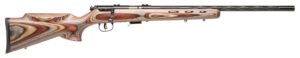 SAV 93R17-BRJ 17HMR BA FB B
