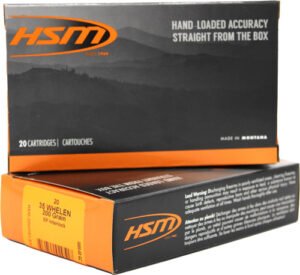 HSM 35 WHELEN 200GR INTERLOCK - 20RD 20BX/CS   <
