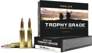 NOSLER TROPHY GRADE 243 WIN - 85GR PARTITION TIP 20RD 10BX/