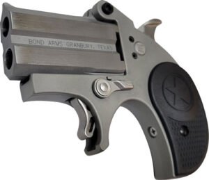 BOND ARMS STUBBY  380ACP - 2.2" STAINLESS NYLON
