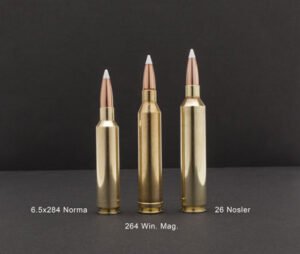 NOSLER TROPHY GRADE LR 26 - NOSLER 142GR ABLR 20RD 10BX/CS