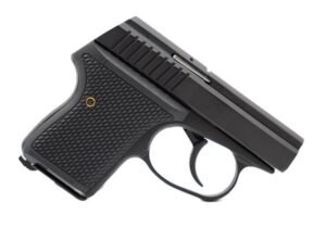 SEE LWS-380 2" 380ACP BLK 6RD