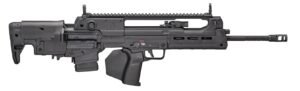 SPRINGFIELD ARMORY 5.56 20IN BARREL HELLION BLACK ADDITIONAL MAGS 1X10 RD RED DOT OPTIC AND SINGLE POINT SLING GEAR UP 2025 HL920556BCA-P25
