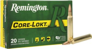 REMINGTON 300 RUM 180GR - CORE-LOKT PSP 20RD 10BX/CS